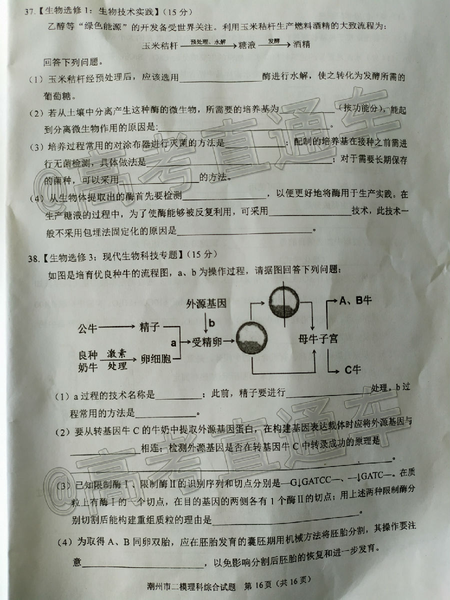 2020ݶģ⼰ο