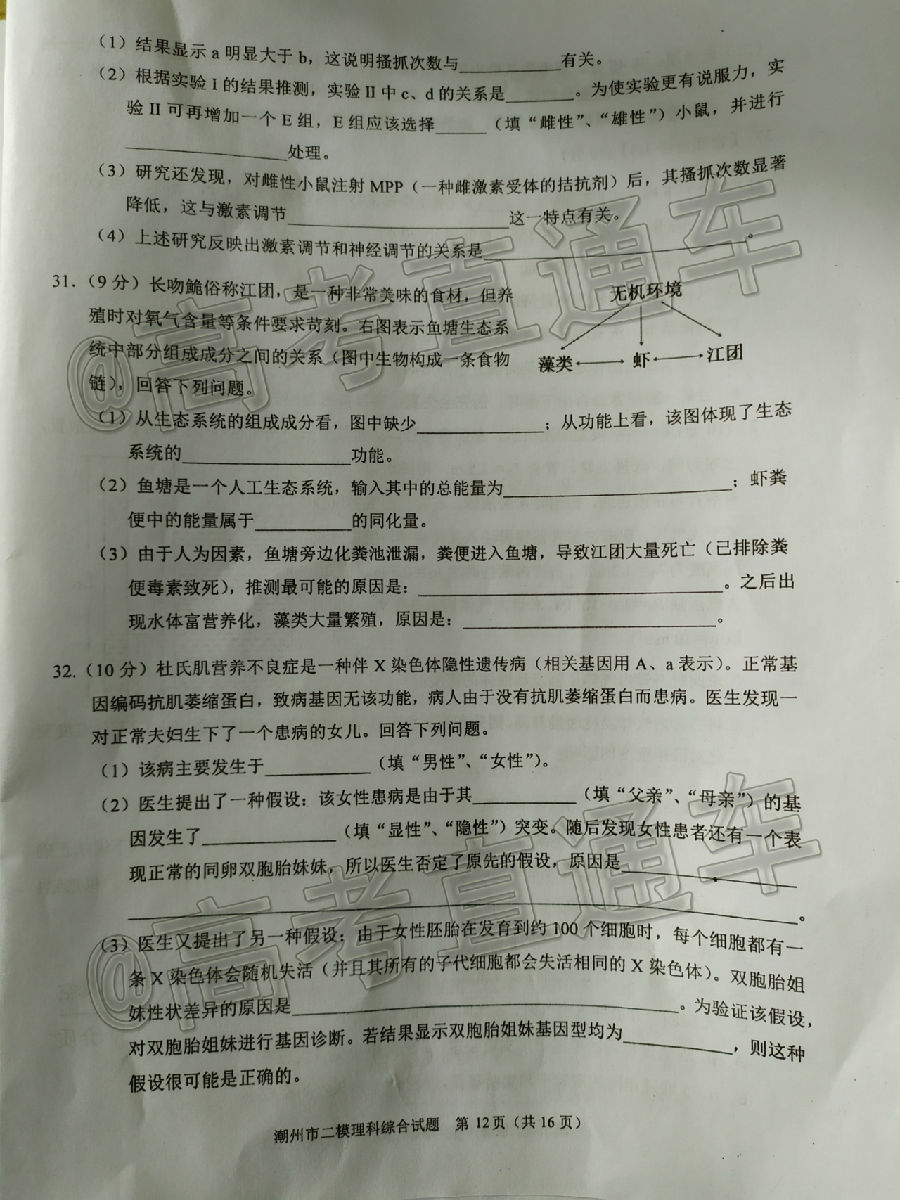 2020ݶģ⼰ο