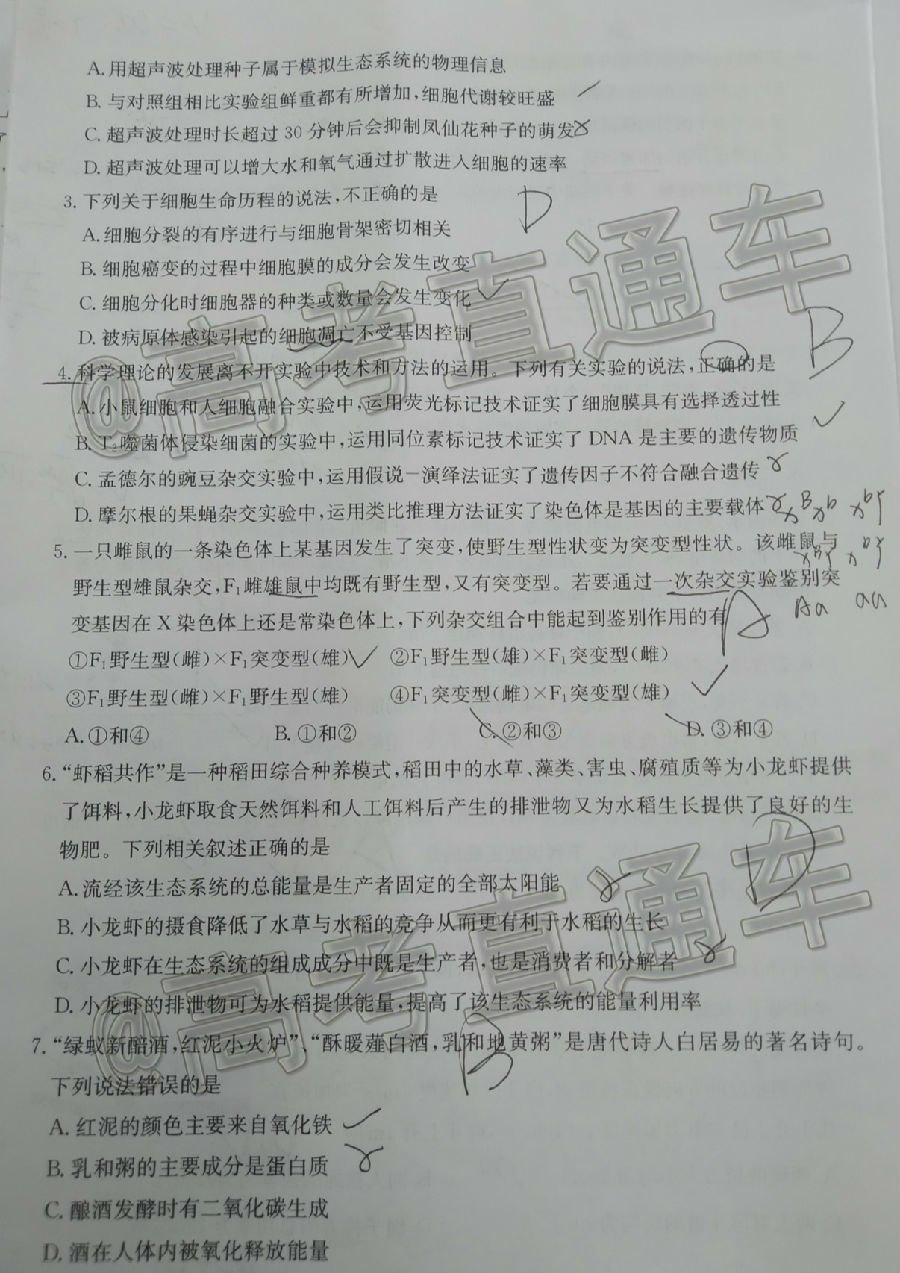 2020⼰ο𰸣У