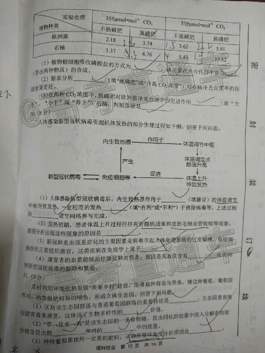2020ʼ죨6£⼰ο