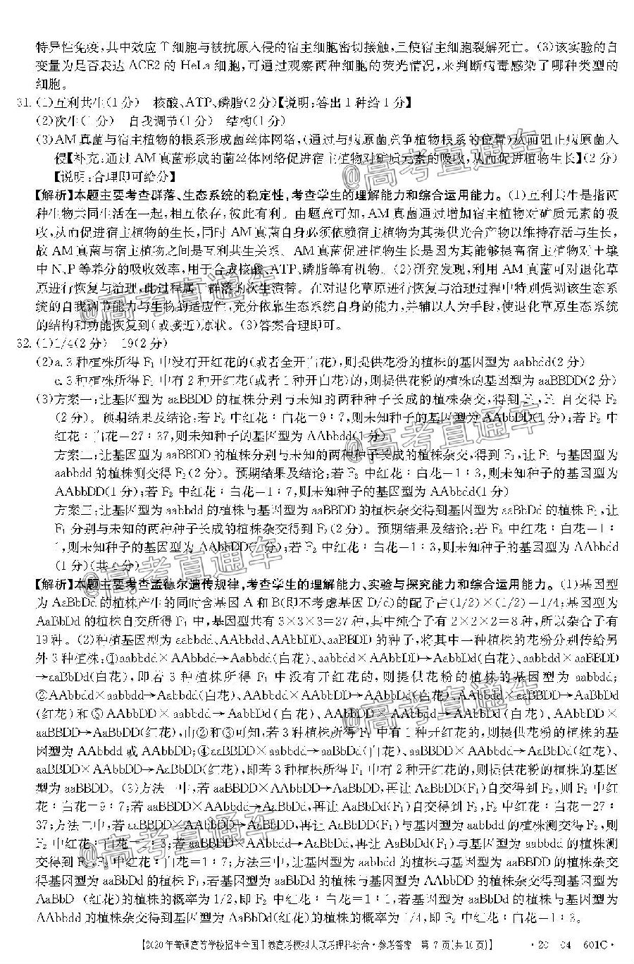 2020죨20-04-325C⼰ο