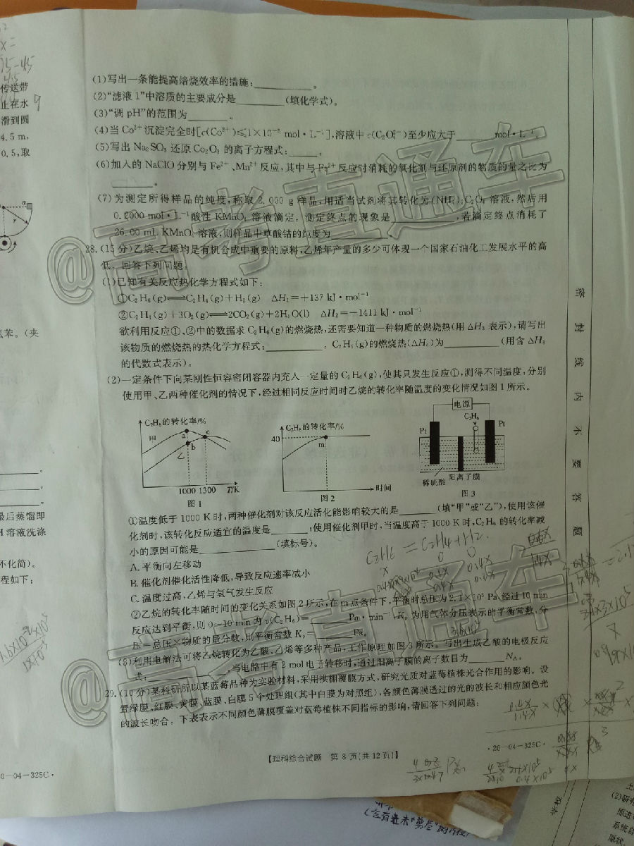 2020죨20-04-325C⼰ο