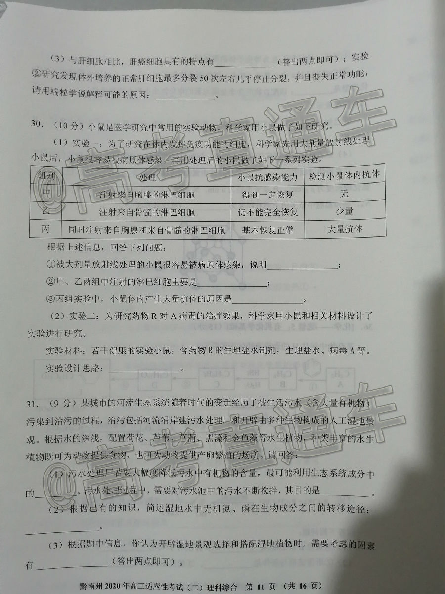 2020ݣǭݡˮͭģ⼰ο