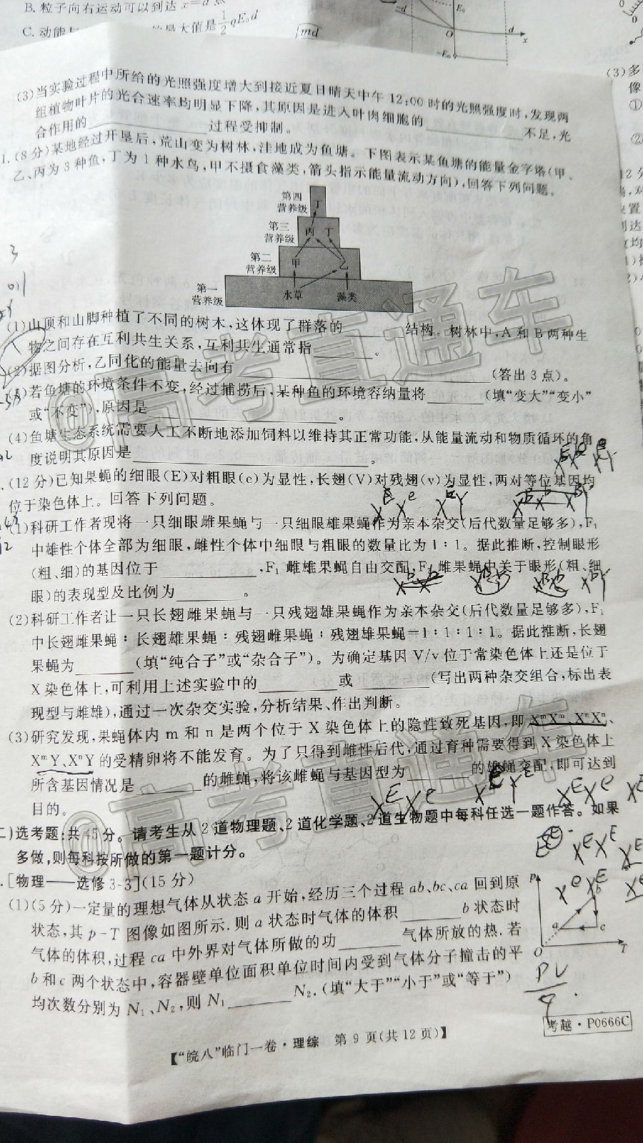 2020ϰУһĴ⼰ο
