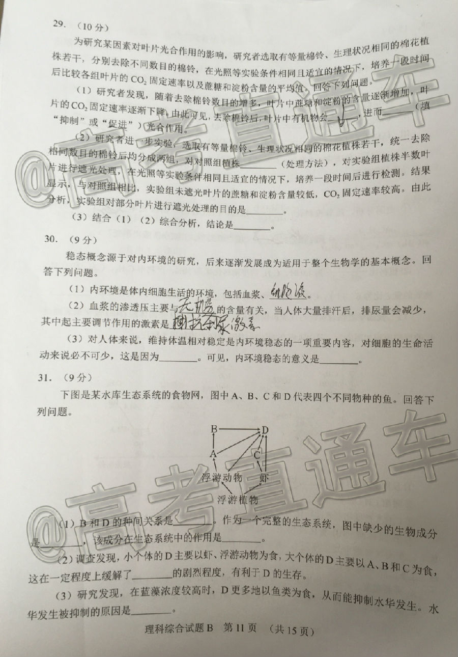 2020ݶģ⼰ο