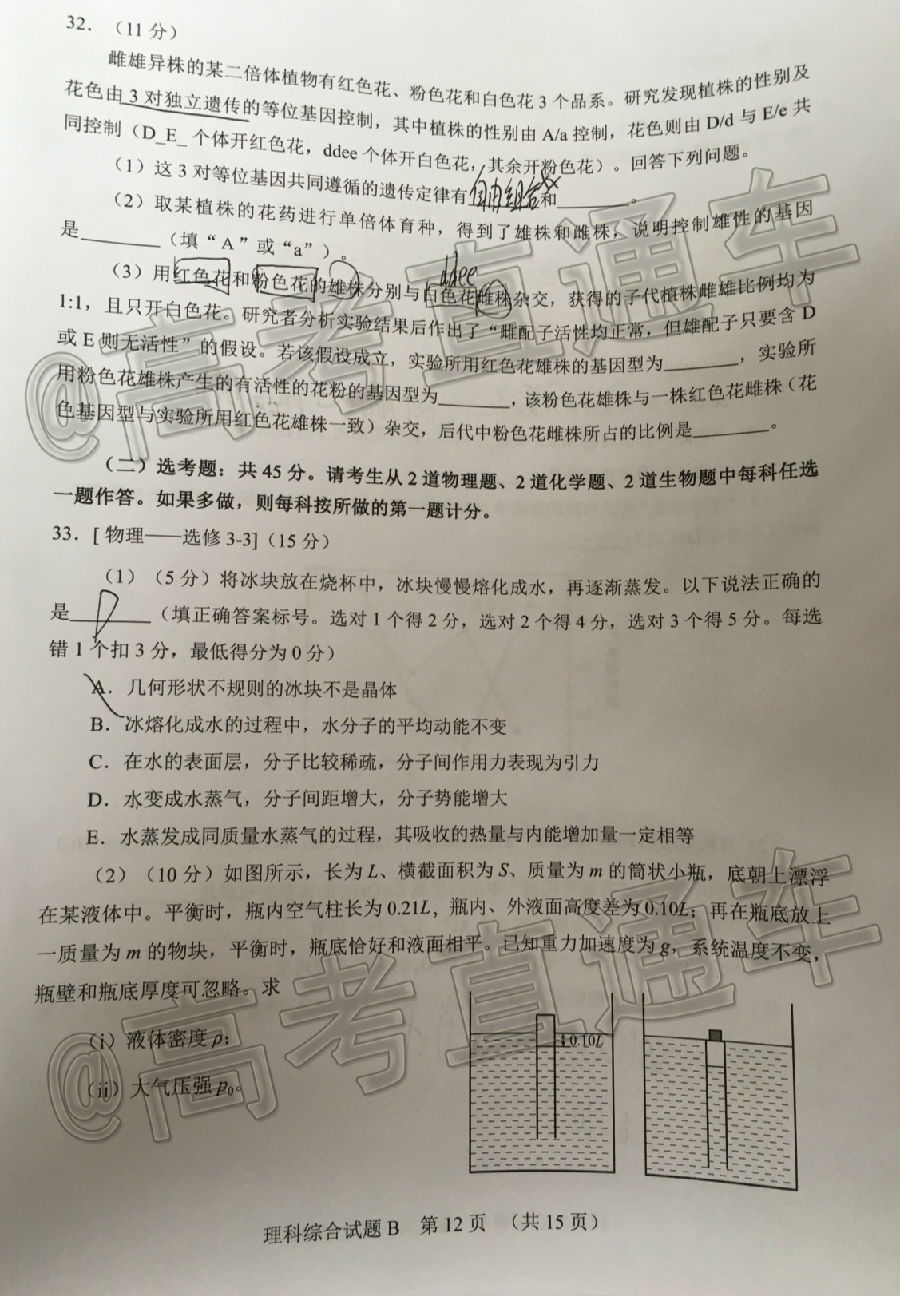 2020ݶģ⼰ο