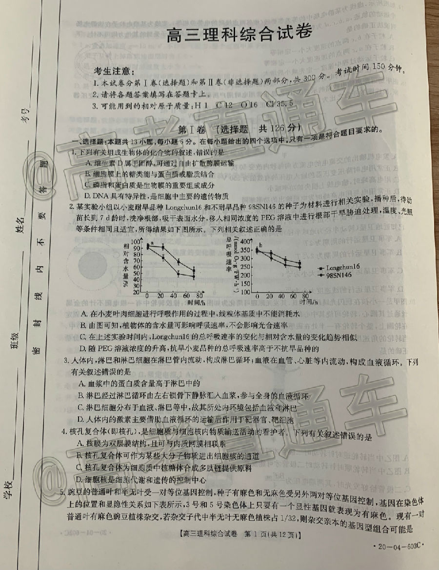 2020㰲20-04-603C⼰ο