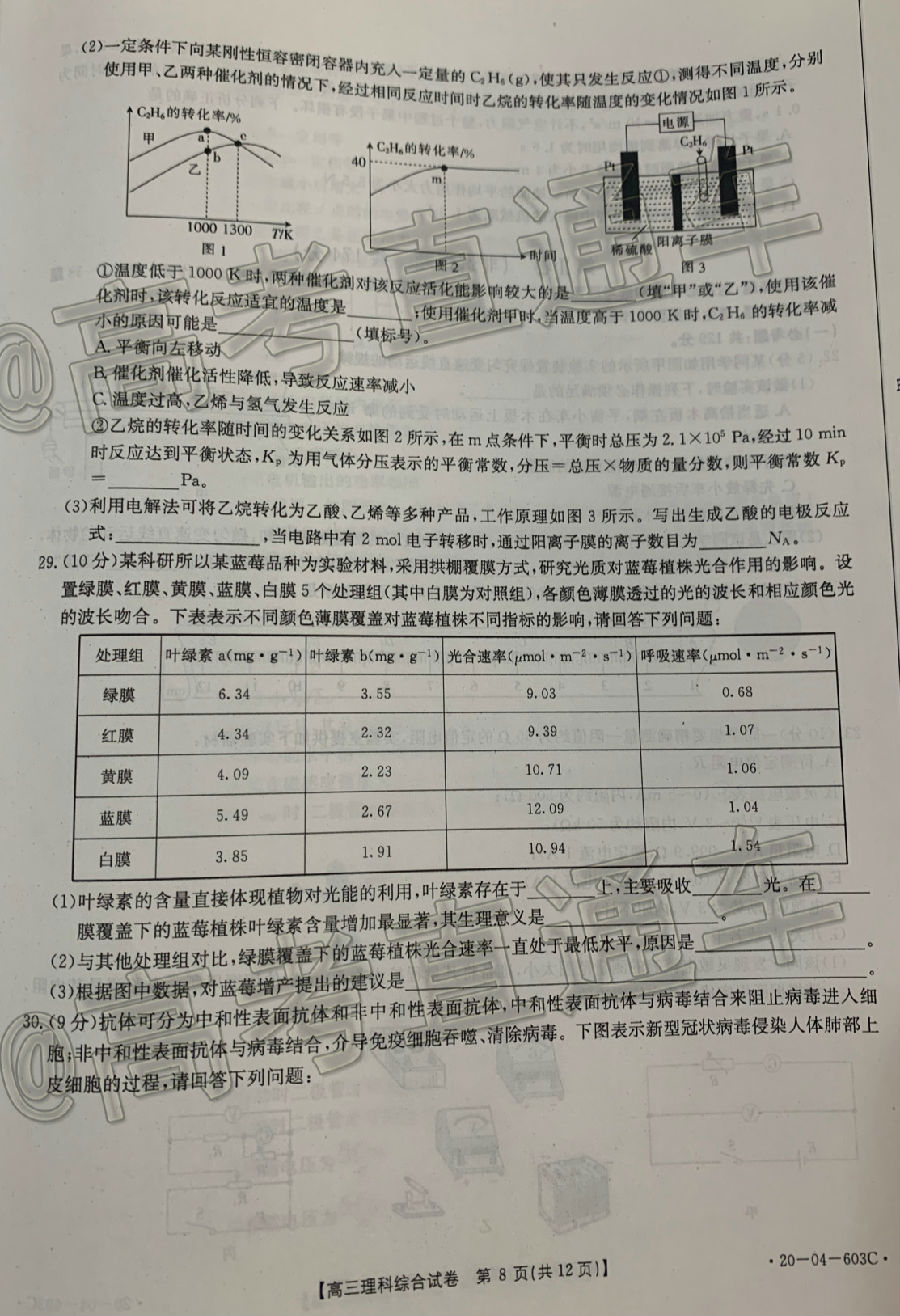 2020㰲20-04-603C⼰ο