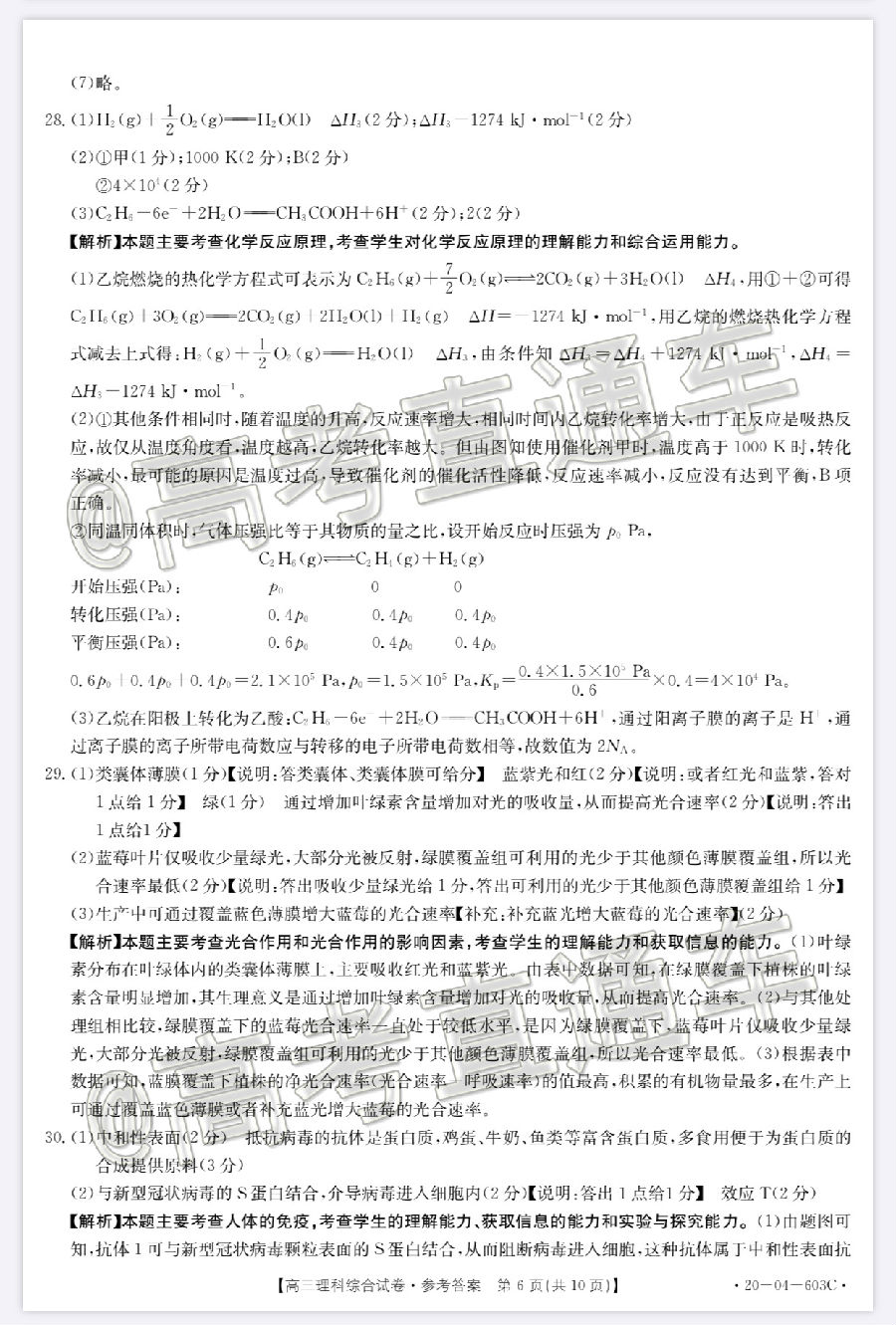 2020㰲20-04-603C⼰ο