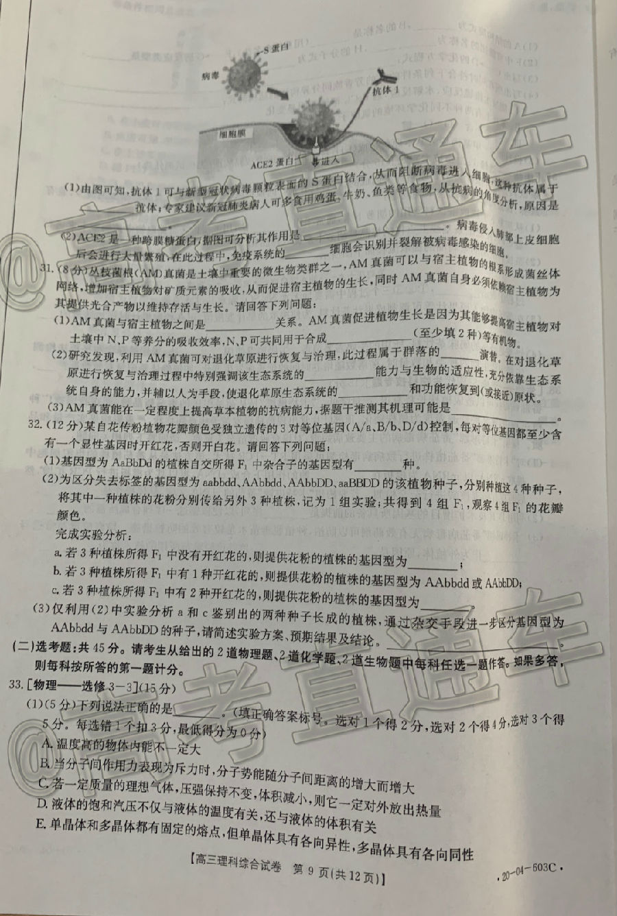 2020㰲20-04-603C⼰ο