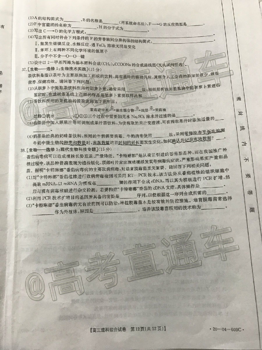 2020㰲20-04-603C⼰ο