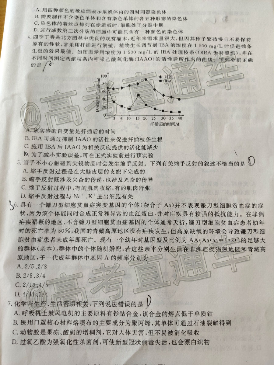 2020ïУ˸ڶ⼰ο
