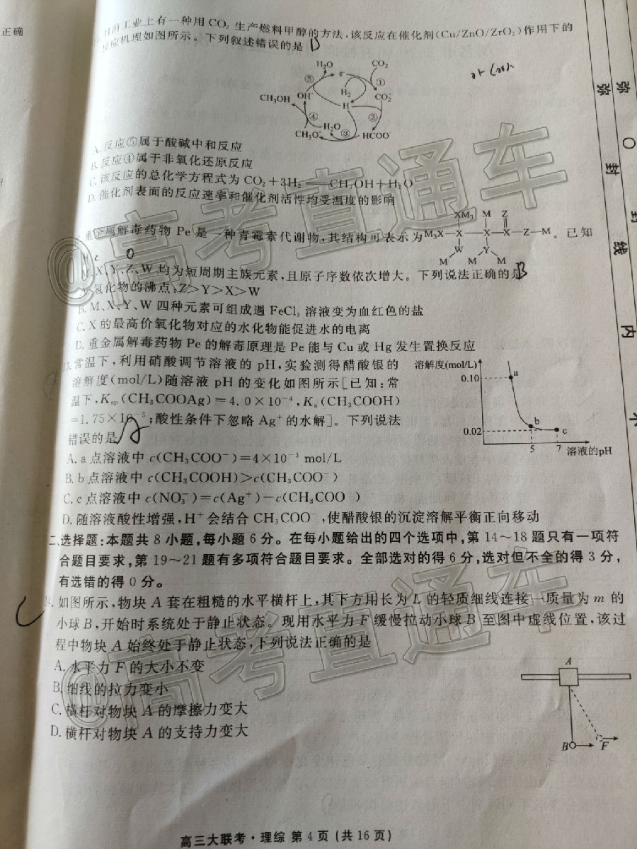 2020ïУ˸ڶ⼰ο