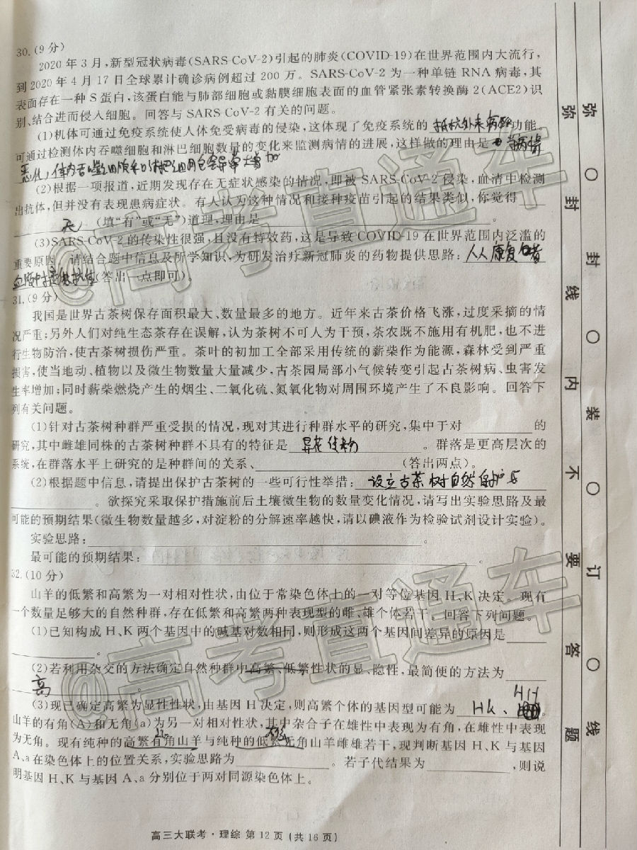2020ïУ˸ڶ⼰ο