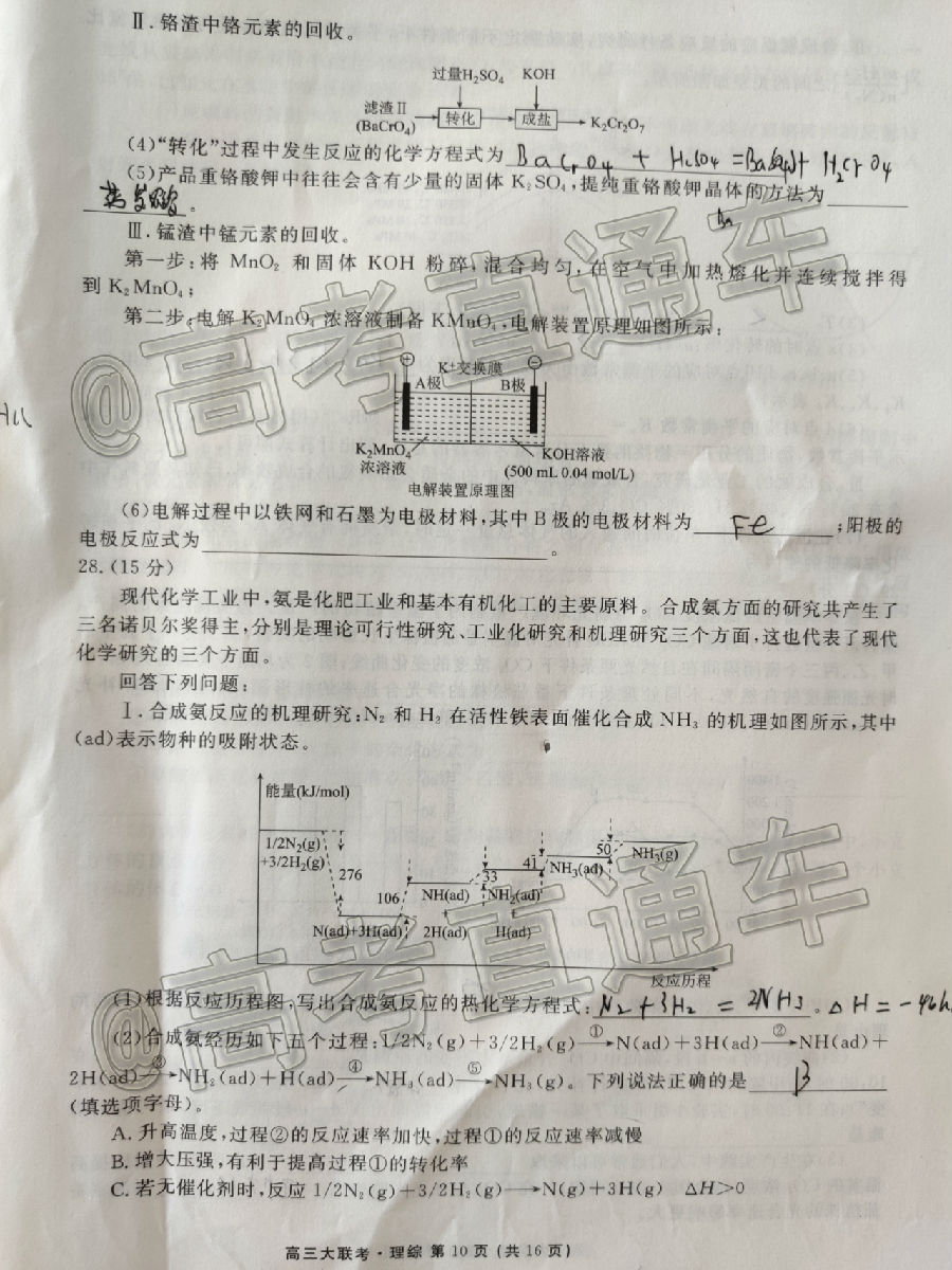 2020ïУ˸ڶ⼰ο