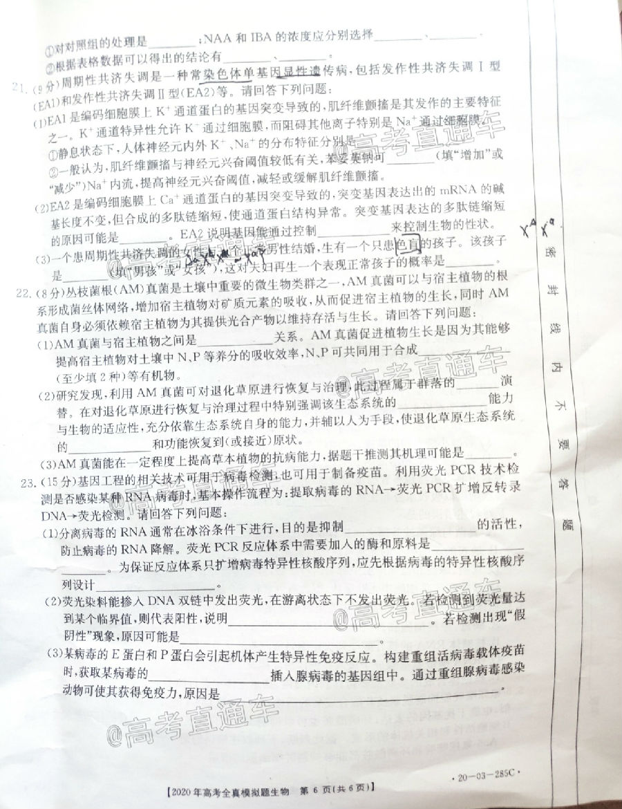 2020̩ģ20-03-285C⼰ο