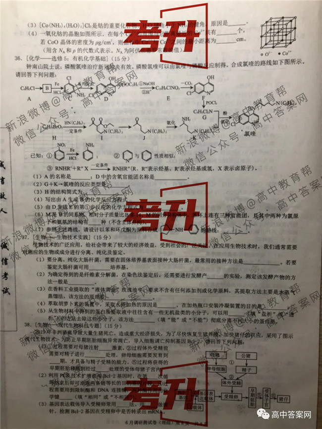 쿵 ۺԾ+