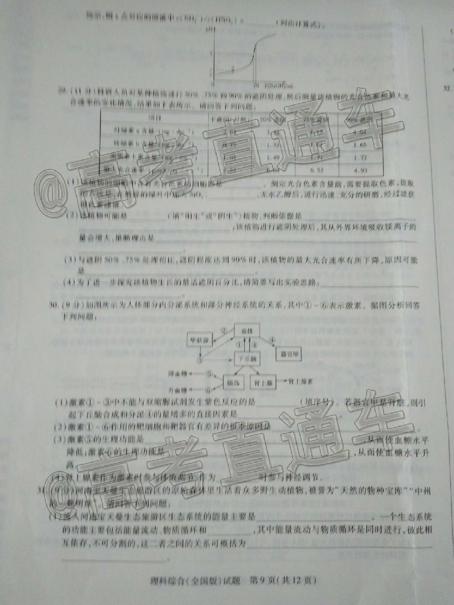 2020һQ⼰ο