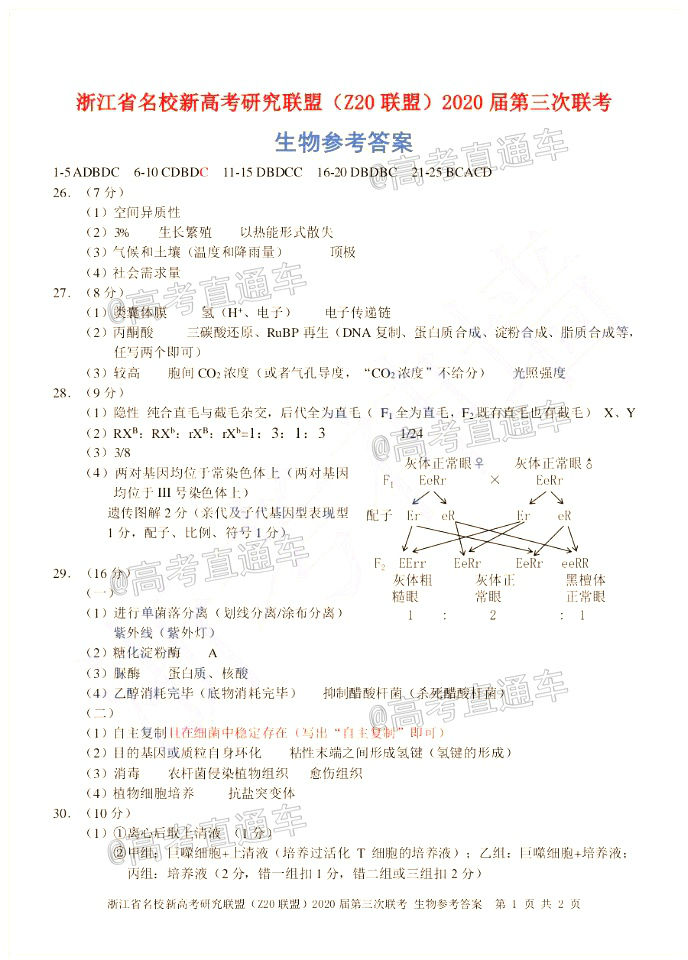 㽭ʡУ¸߿оˣZ20ˣ2020⼰