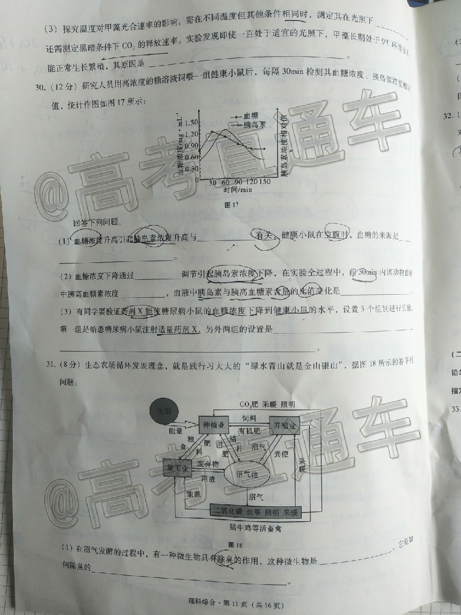 20203+3+3߿⼰ο