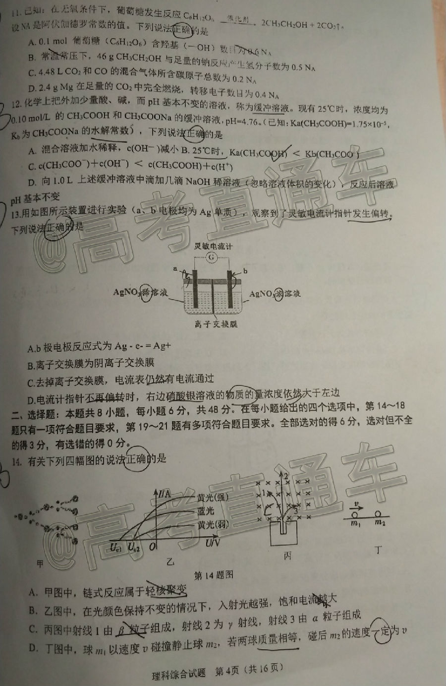 2020麣ģ⼰ο