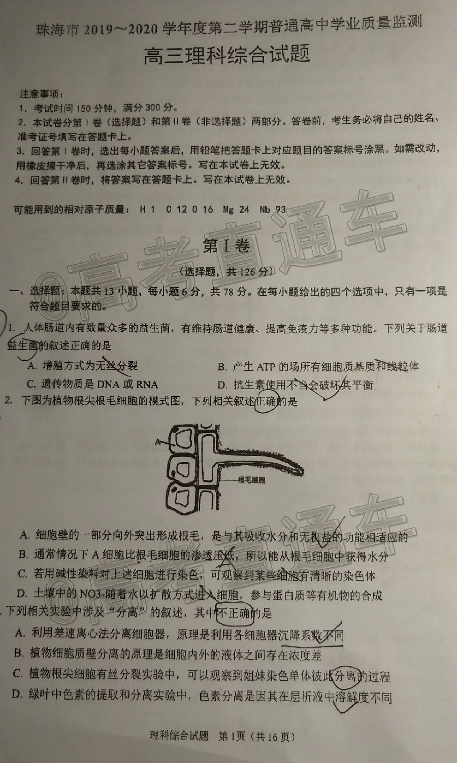 2020麣ģ⼰ο