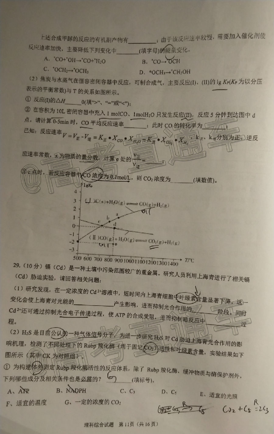2020麣ģ⼰ο