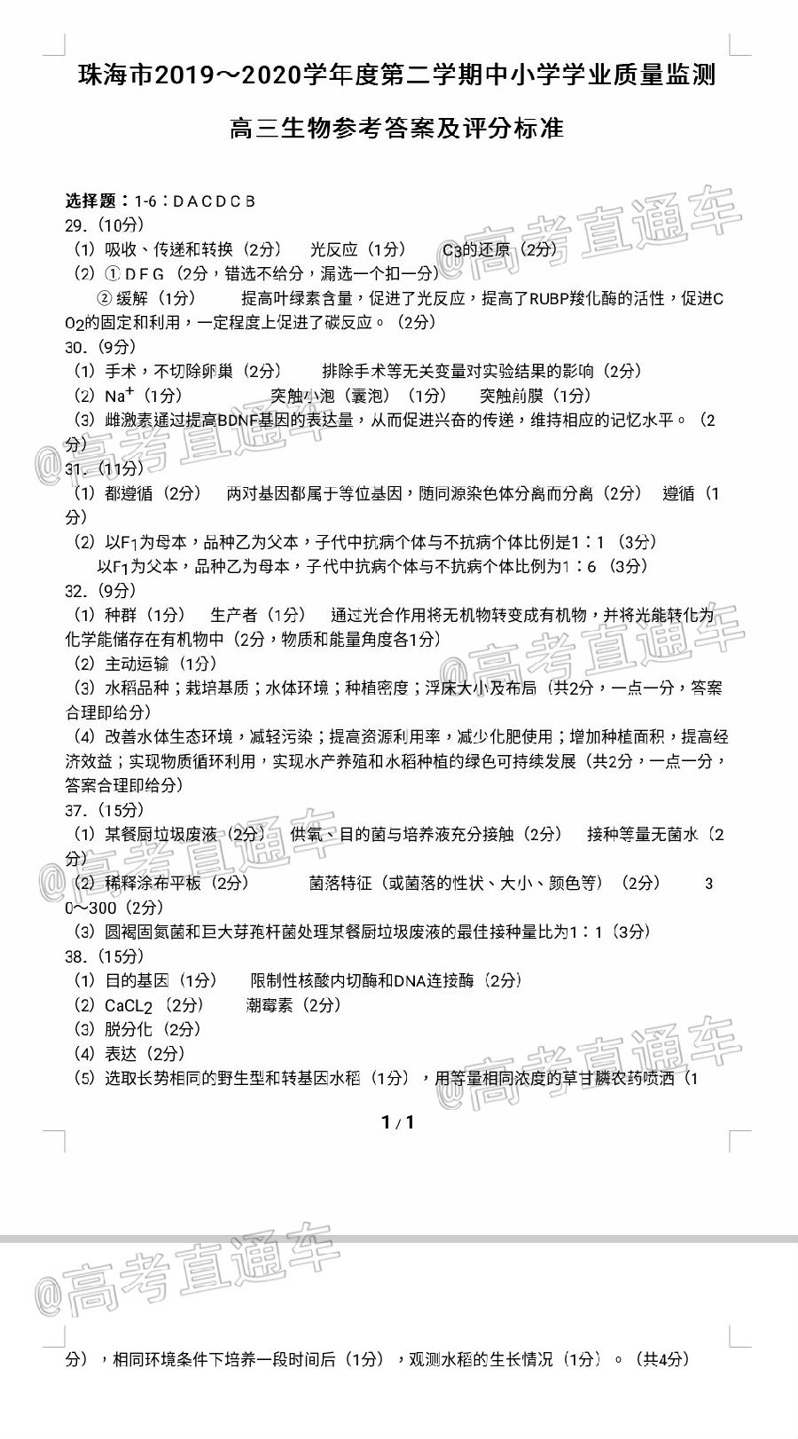 2020麣ģ⼰ο