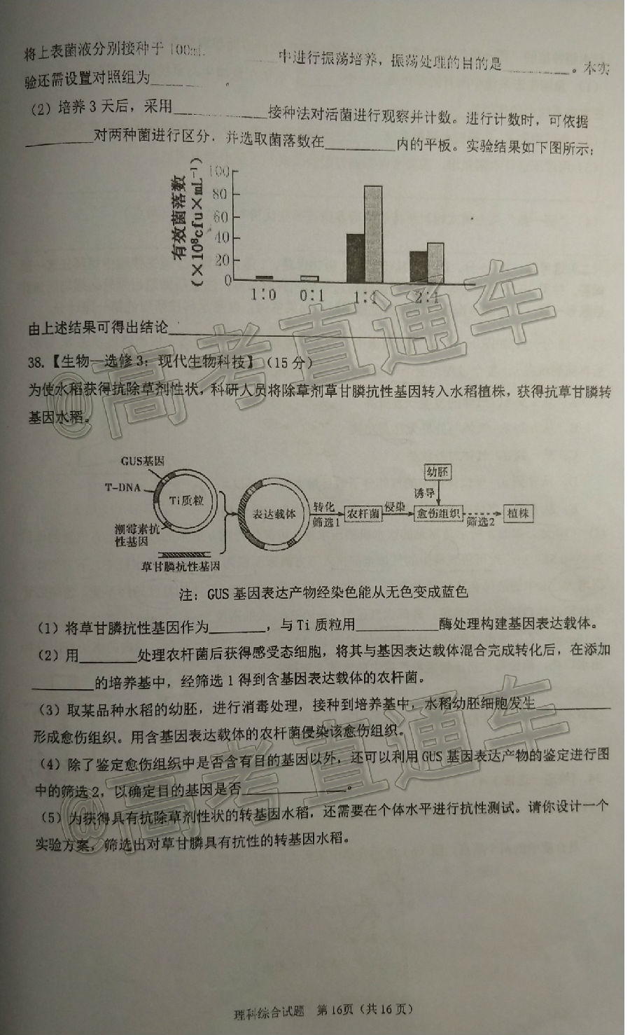 2020麣ģ⼰ο