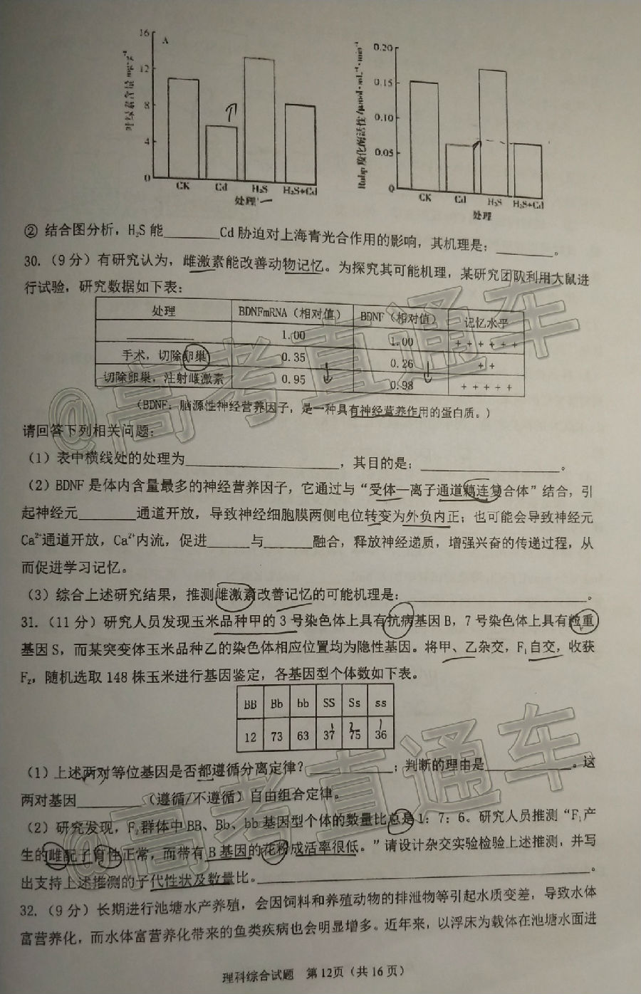 2020麣ģ⼰ο