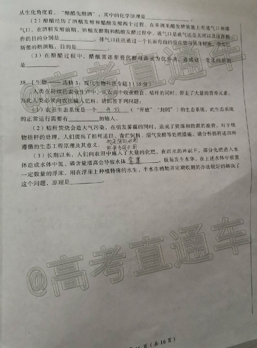 2020಩԰CATۺԣ⼰ο