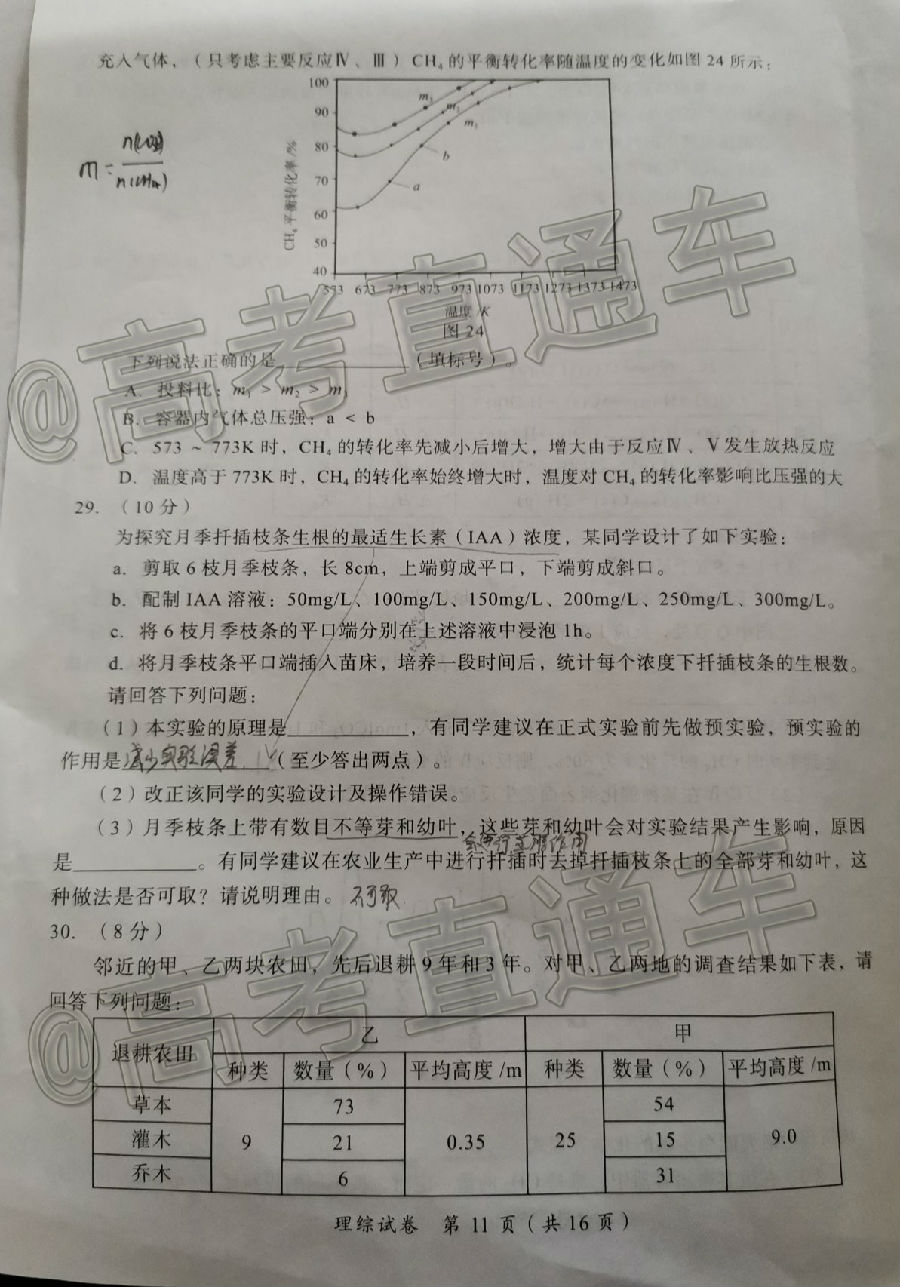 2020಩԰CATۺԣ⼰ο