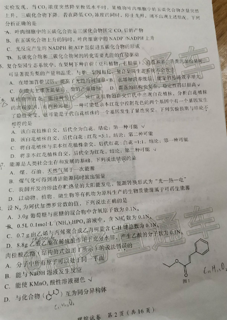 2020಩԰CATۺԣ⼰ο