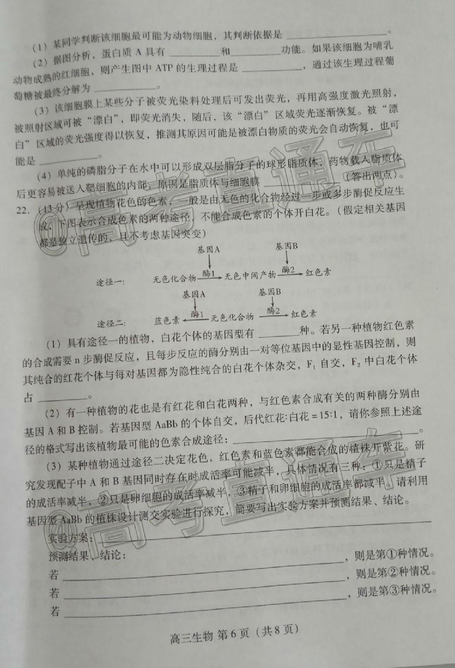 20206Ϋģ⼰ο𰸣У