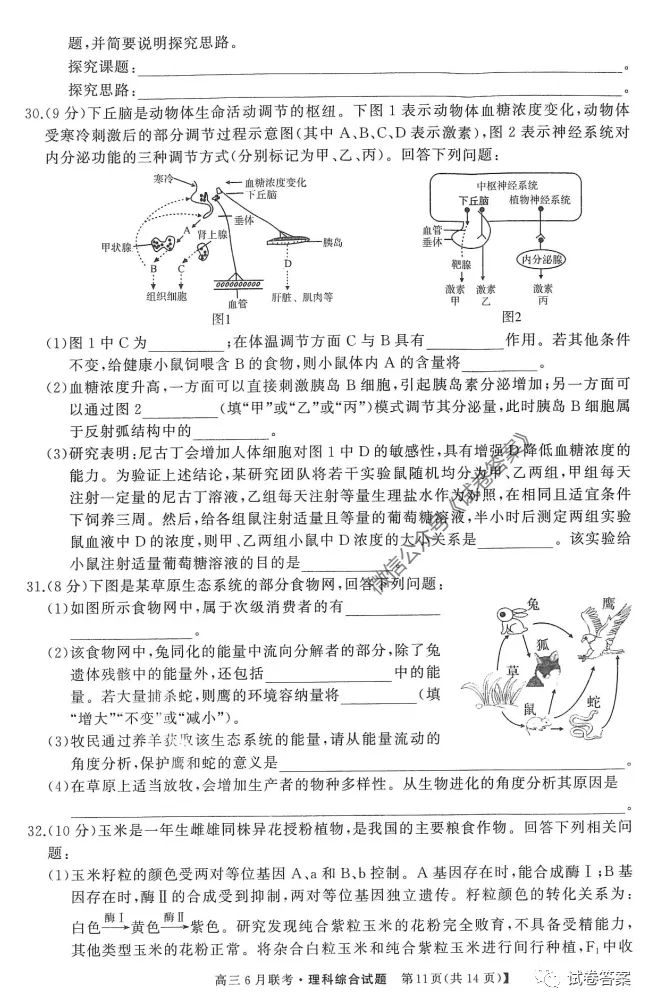 ʡУ2020꼶6ӦԿԴ
