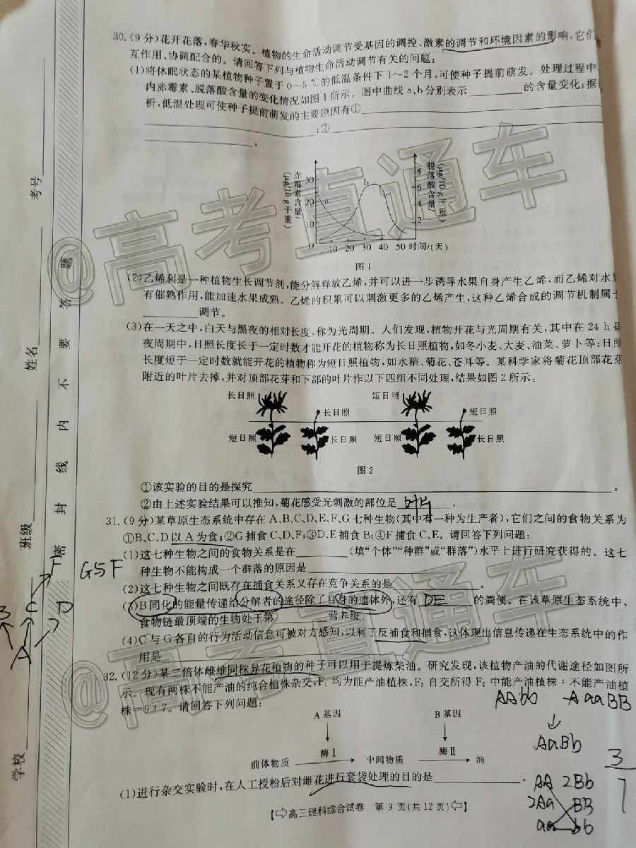 2020̫6➩⼰ο()