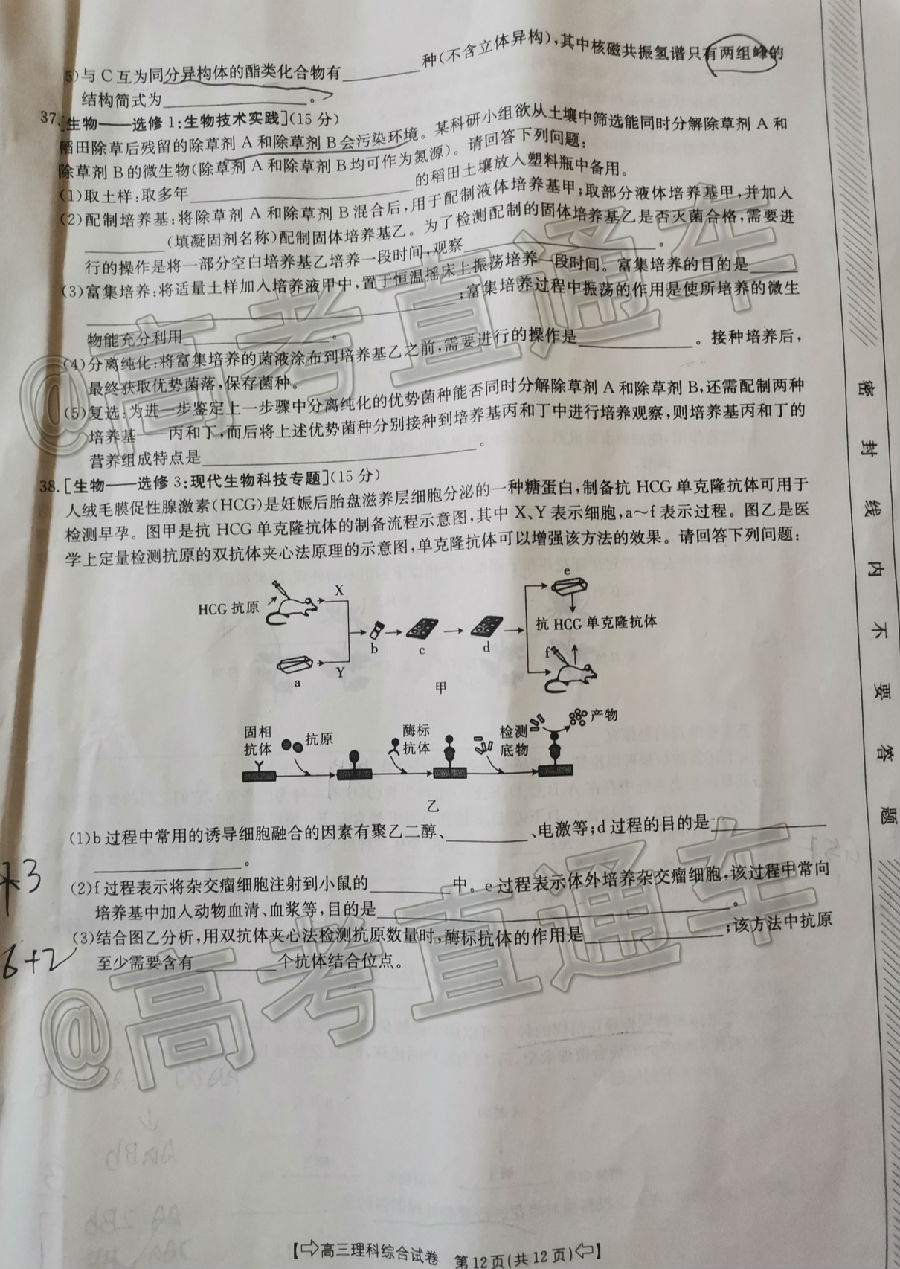 2020̫6➩⼰ο()