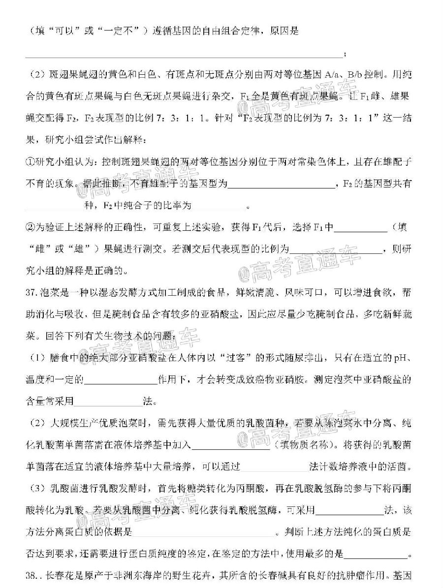 2020ĸ߿濼⼰ο