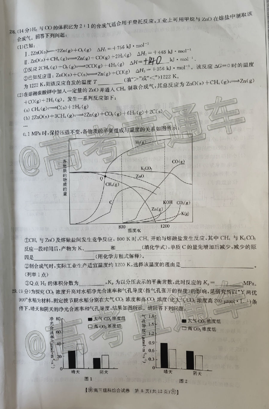 2020̫6°ȫ✽/8003C⼰ο