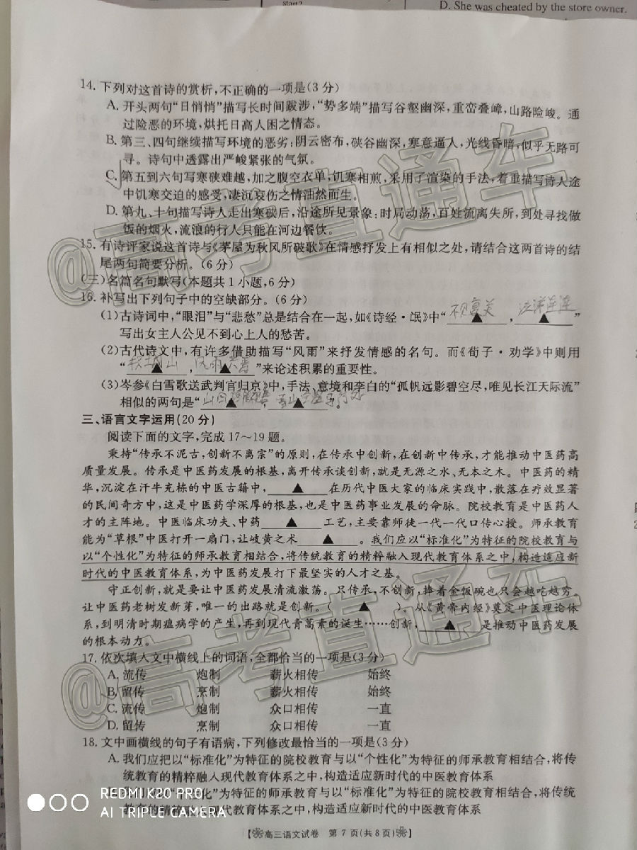 2020̫6°ȫ✽/8003C⼰ο