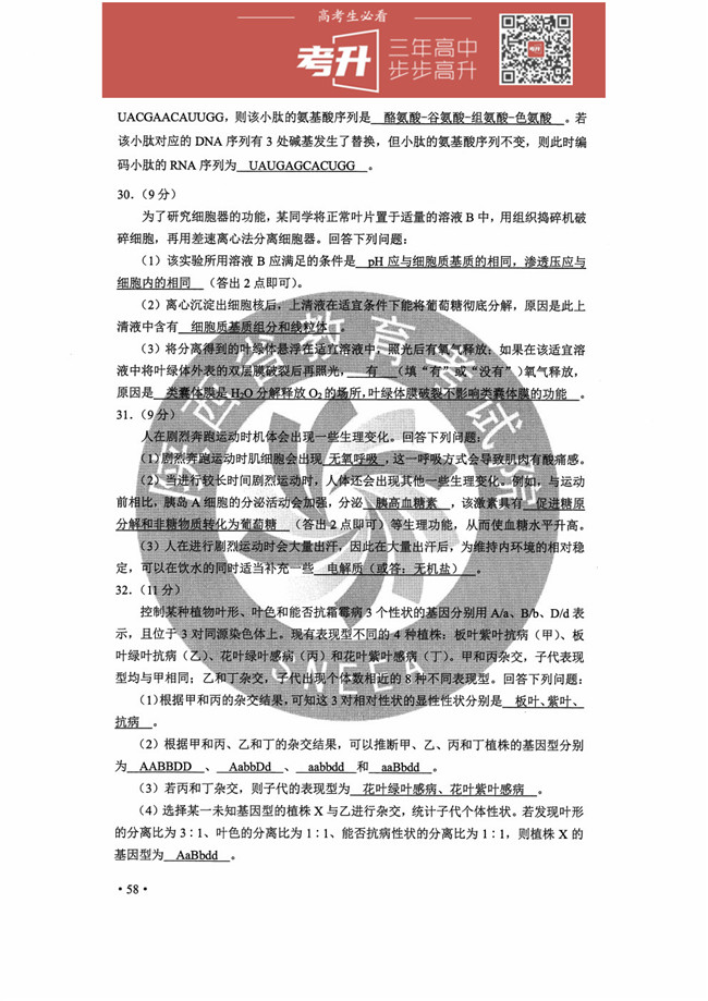 2020ȫ߿2𰸷 õࡢຣ֡ġ½ɹš