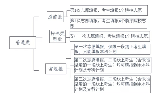 2020山东夏季高考志愿设置及填报