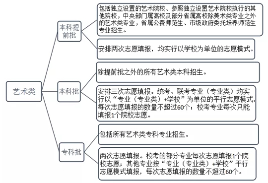 2020山东夏季高考志愿设置及填报