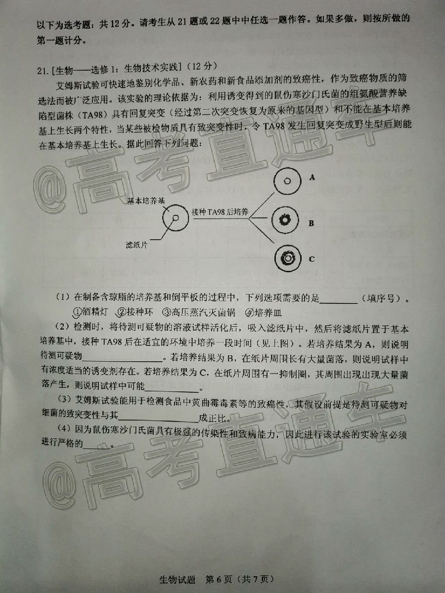 2021ŵ⼰ο