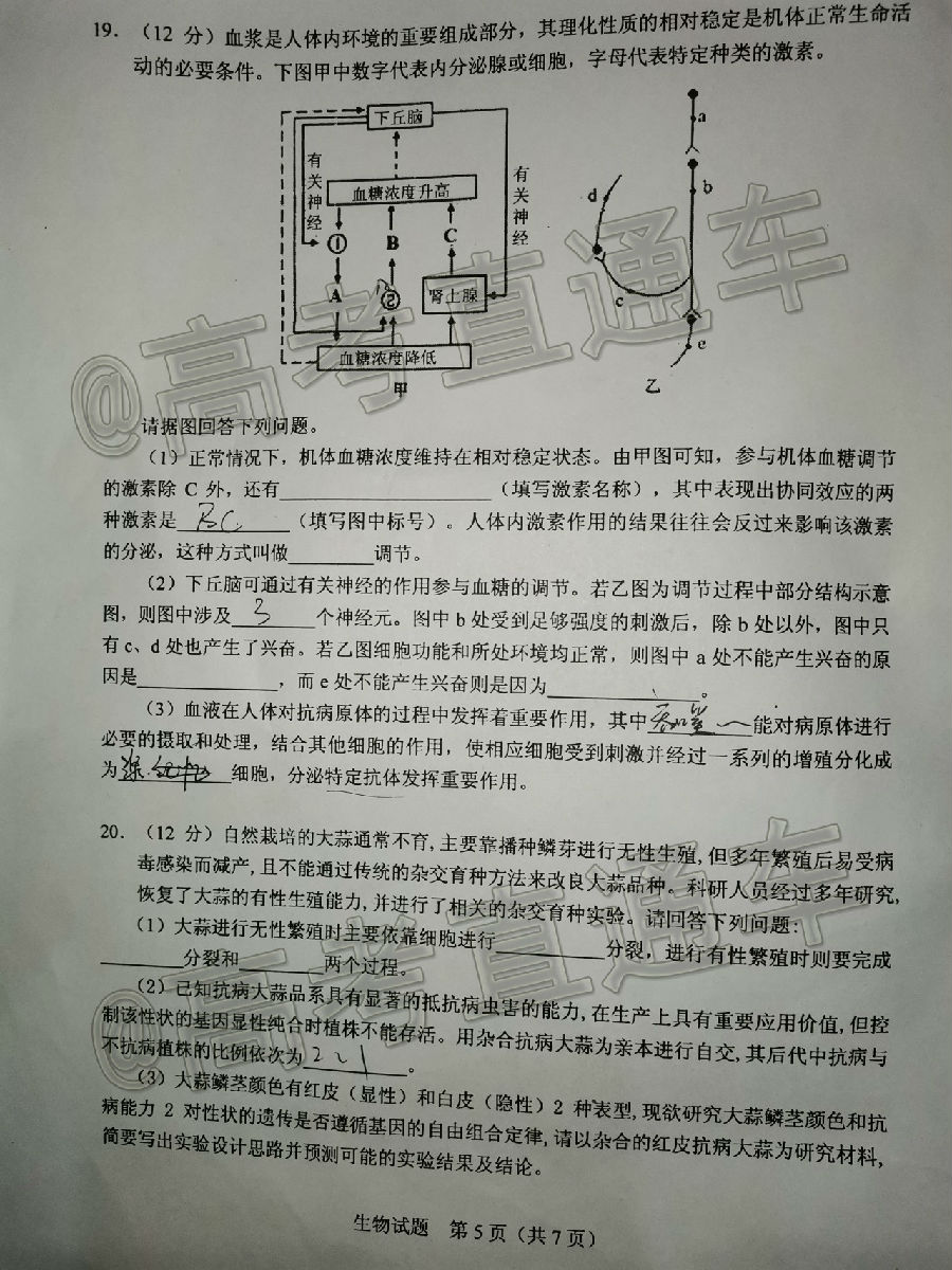 2021ŵ⼰ο