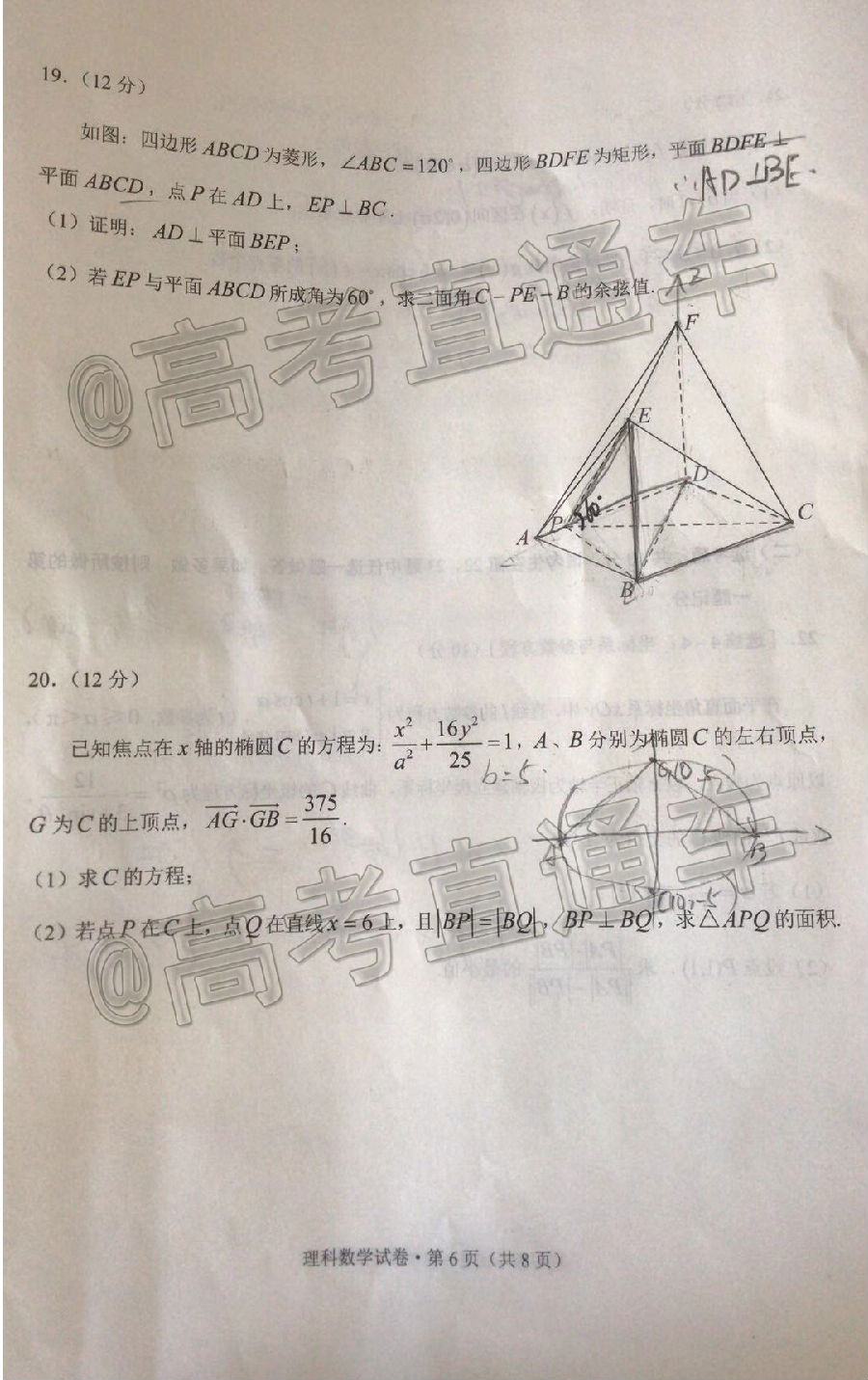 2021ݸͳ⼰ο