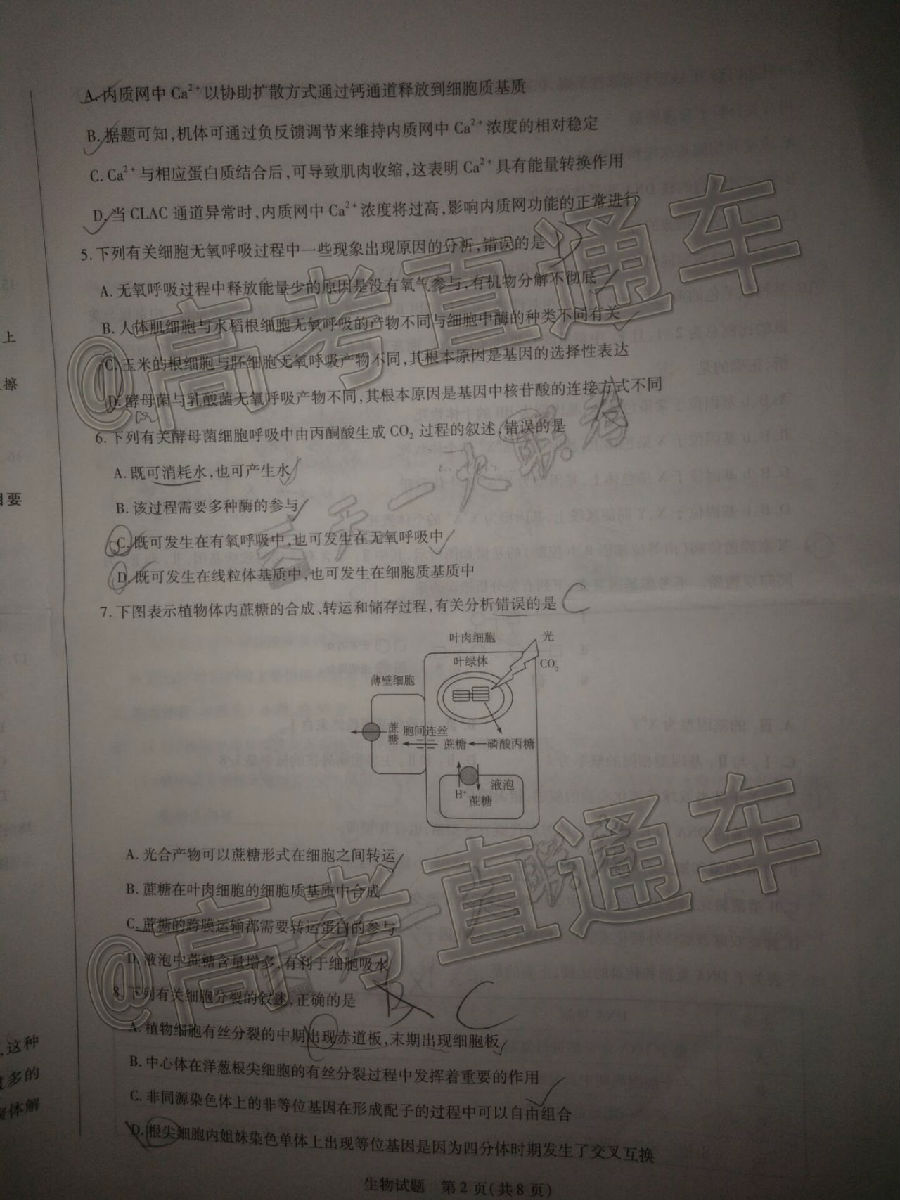 2021һԥ˸ڶ⼰ο