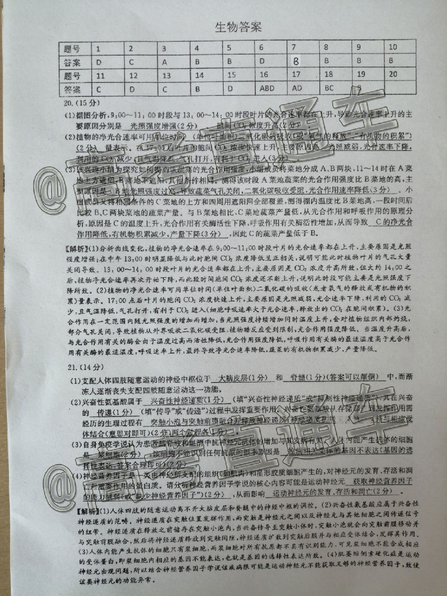 2021ӱˮ12µпC⼰ο