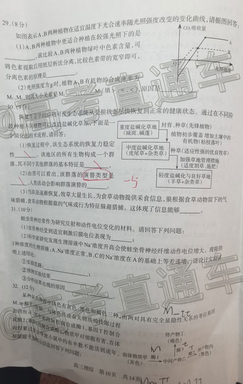 2021֦ͳ⼰ο