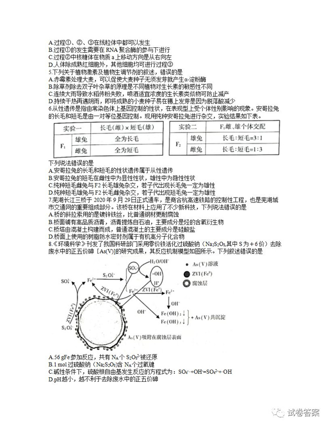 2021һѧߺ⼰